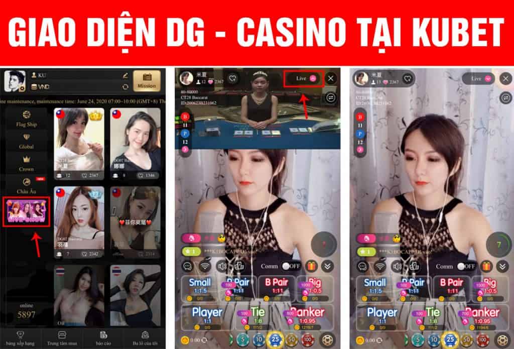 giao diện live stream dg casino, dg casino live stream, live casino dg casino