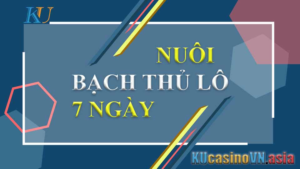 NUÔI BẠCH THỦ LÔ 7 NGÀY