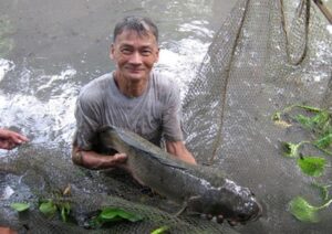 chiêm bao thấy cá lóc đánh số gì