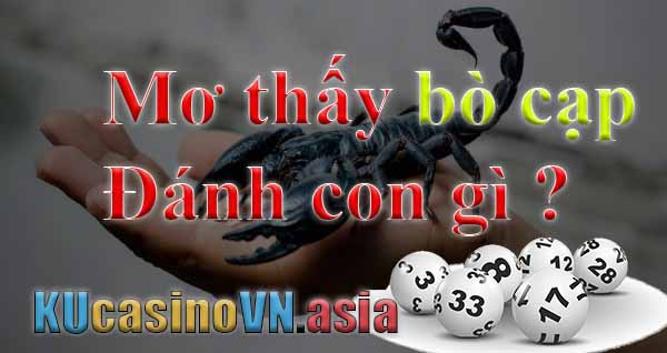 mơ thấy bò cạp
