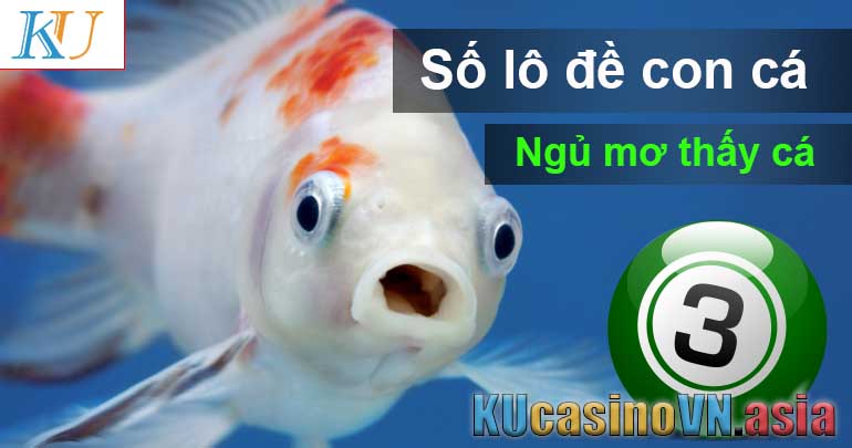 ngủ mơ thấy cá - số lô đề con cá