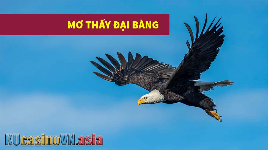 mơ thấy đại bàng