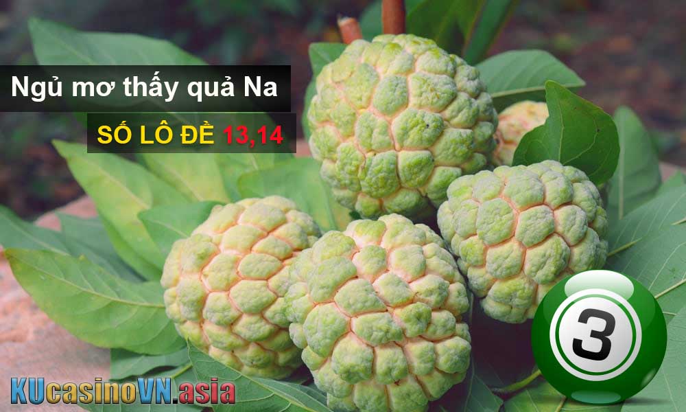 ngủ mơ thấy quả na đánh số lô đề gì