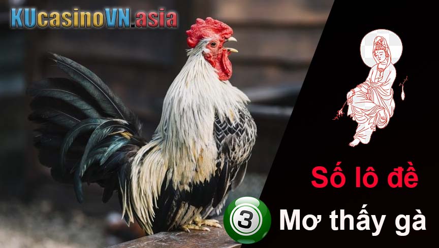 Mơ thấy gà số lô đề mấy