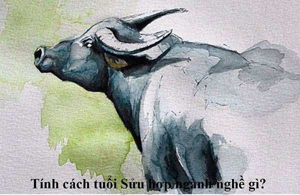 Tuổi Tân Sửu năm 2021 tuổi gì?