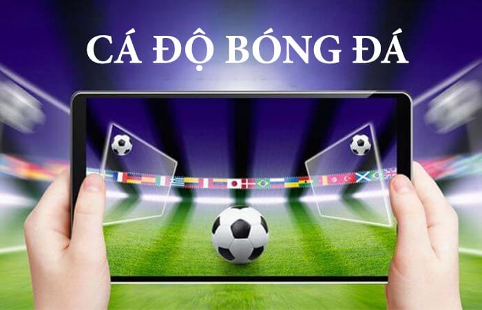 nguyên tắc chơi cá độ bóng đá