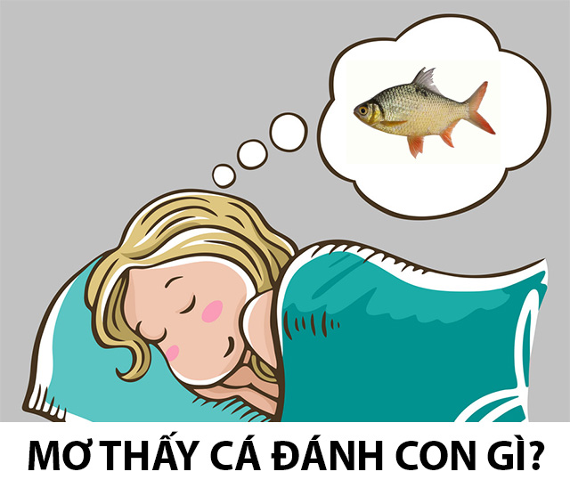 giấc mơ thấy cá