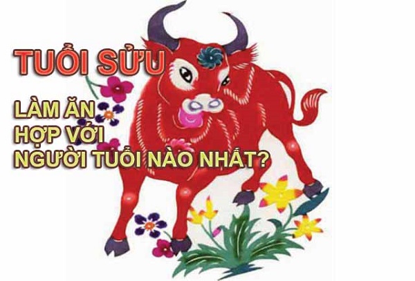 Tuổi sửu 2021 hợp làm ă tuổi nào