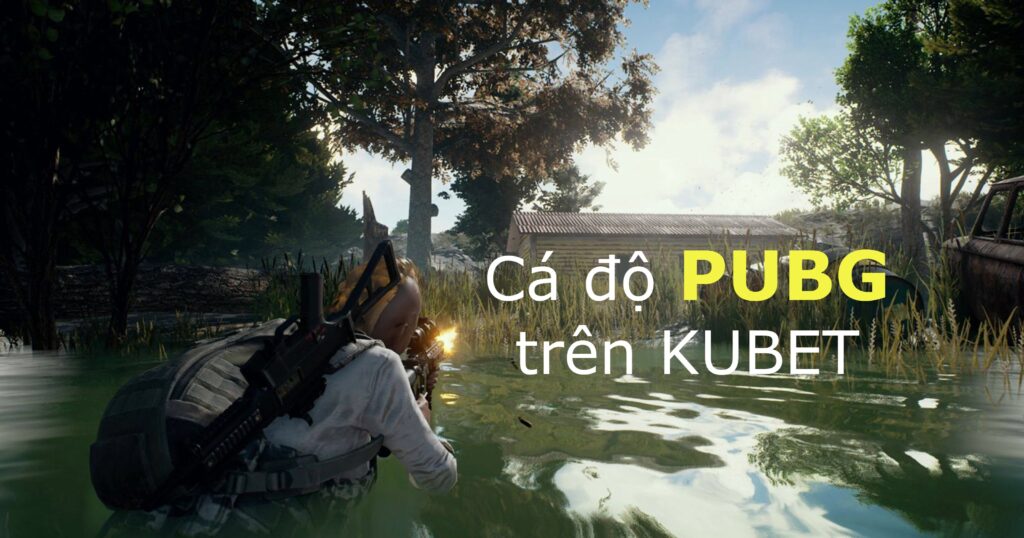 Cá Độ Giải Đấu PUBG