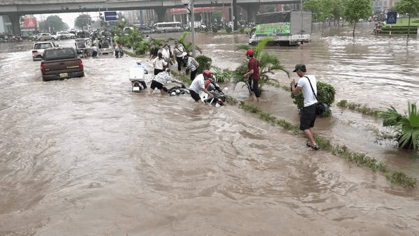 Điềm báo khi lũ cuốn trôi