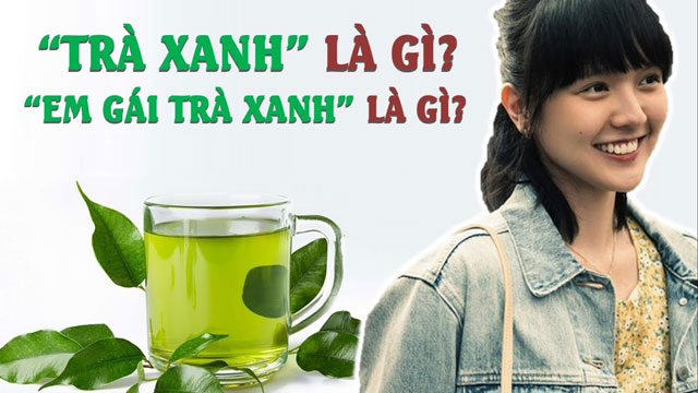 Trà xanh hải tú là gì