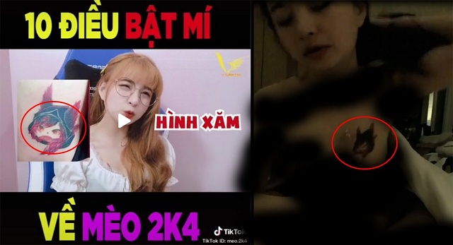 Lộ clip nóng của mèo 2K4