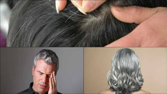 Giấc mơ tóc xám-Có bao nhiêu Giấc mơ tóc xám-Có bao nhiêu