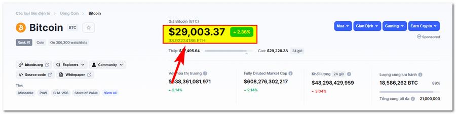 giá BTC bitcoin 2021