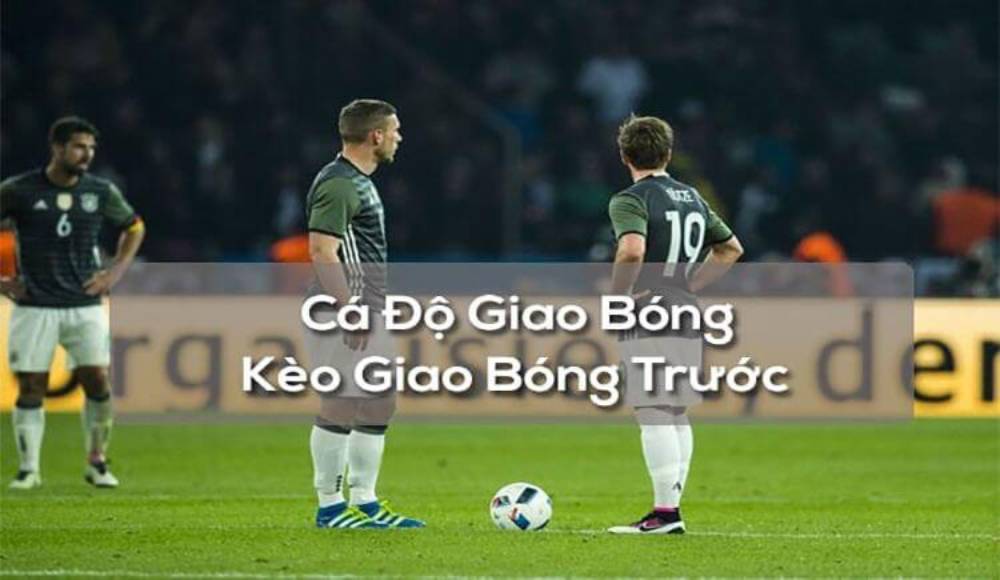 Dịch vụ trước đó là gì?
