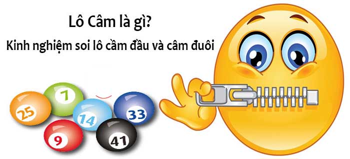 soi cầu lô câm