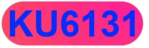 vn.ku6131