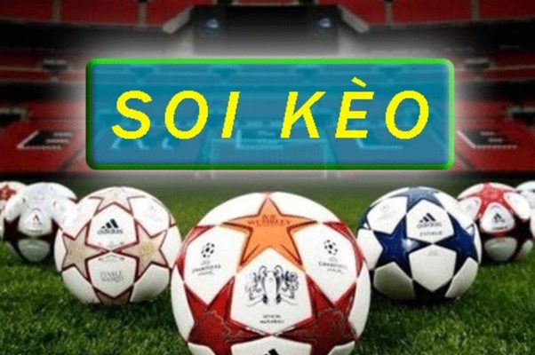 Mẹo cá cược bóng đá tiêu chuẩn