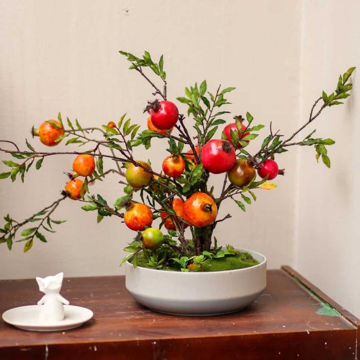 Ý nghĩa và đặc điểm của cây lựu cảnh 173181127