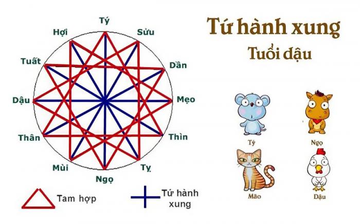 Bộ tứ là gì? Làm thế nào để tính tứ giác? 1734614182
