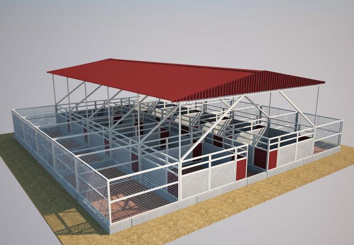 Hướng dẫn cách chăm sóc chuồng gà tốt nhất, phù hợp với khí hậu Việt Nam 