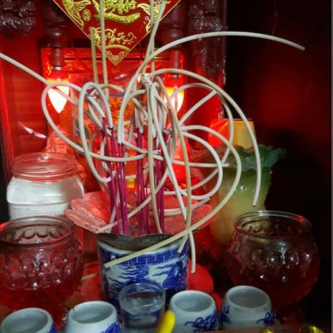 Cây nhang là gì? Sự thật ẩn trong đống đổ nát