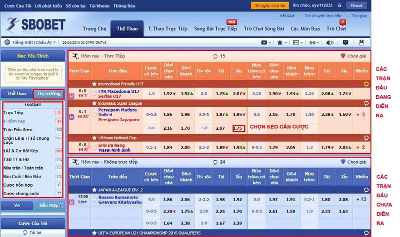 Hướng dẫn chi tiết cá độ bóng đá tại sbobet