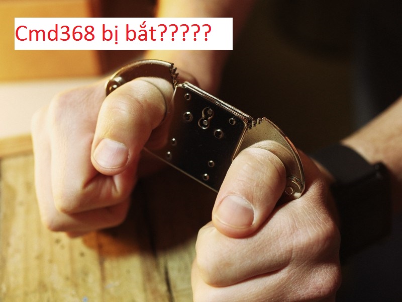 Cmd368 có thực sự bị bắt không?