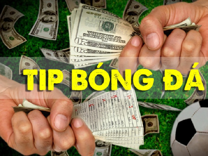 Những lý do không nên mua tip bóng đá