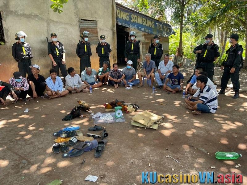 Bắt chọi gà tại Việt Nam