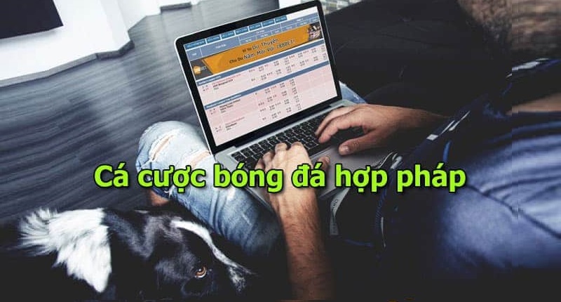 Cá độ bóng đá hợp pháp là gì?