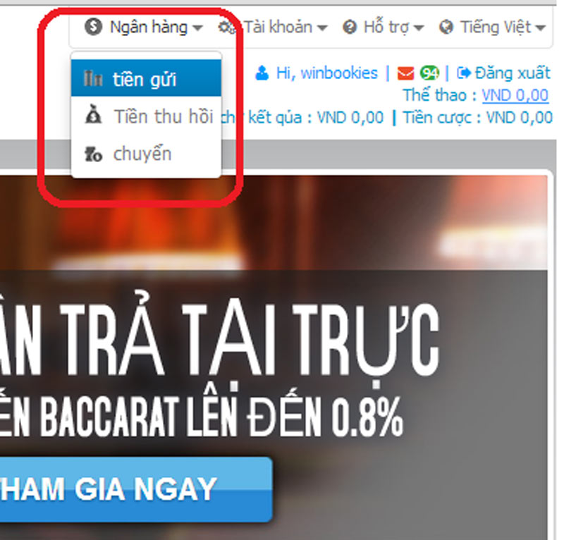 nạp tiền vào tài khoản cmd368 qua internet banking