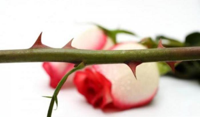 Cách đánh vần làm tổn thương người bằng ảnh mà bạn nên biết