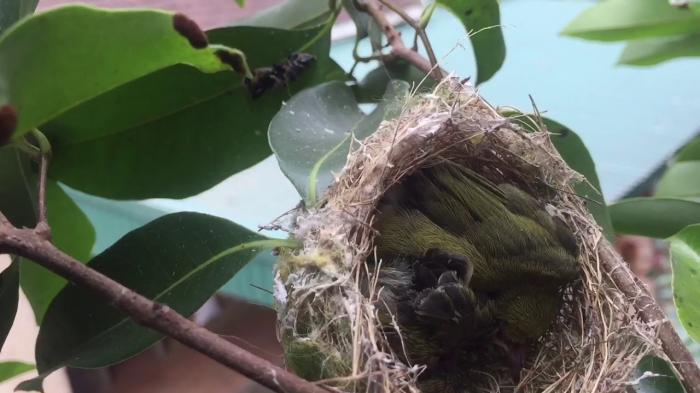 Coi chừng điềm xấu để tránh tai họa