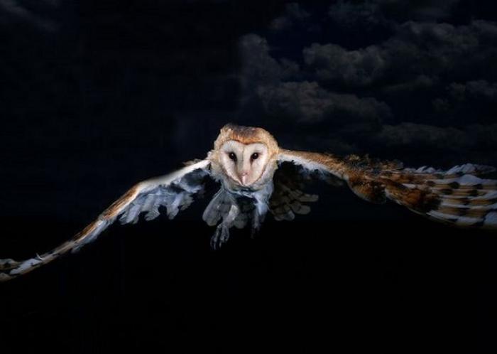 Coi chừng điềm xấu để tránh tai họa