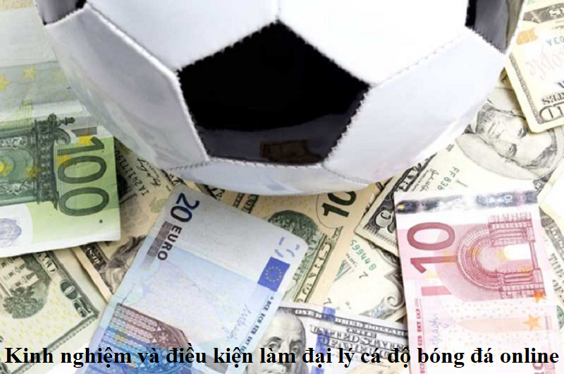 Kinh nghiệm làm đại lý cá độ bóng đá