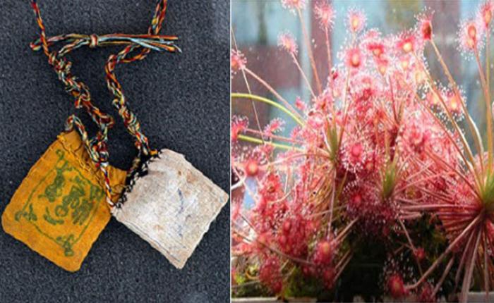 Hướng dẫn chi tiết cách làm bùa yêu bằng tóc