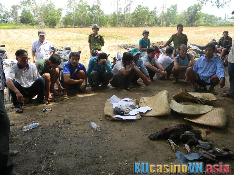 Liên tục công phá nhiều nơi có thể đánh nhau với gà trống để kiếm tiền