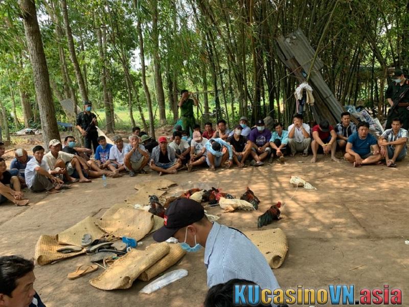 Đánh bại liên tiếp 2 tụ điểm chọi gà ở An Giang, Đồng Tháp. 