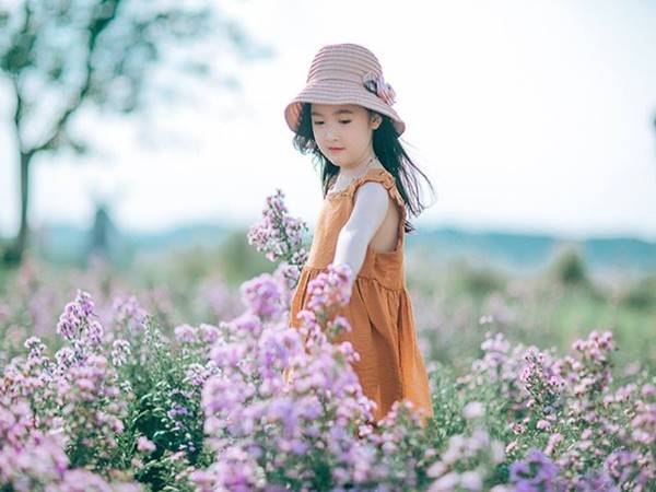 Ý nghĩa của cái tên Cheonan có bị vi phạm không?