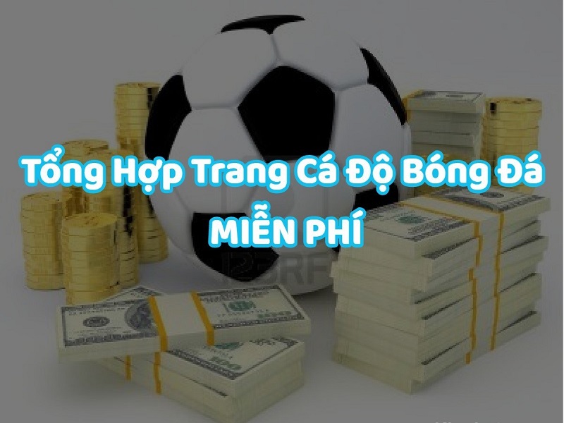 Nhà cái cung cấp cược bóng đá miễn phí.