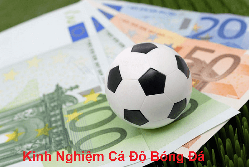 Kinh nghiệm đọc tỷ lệ bóng đá châu Á