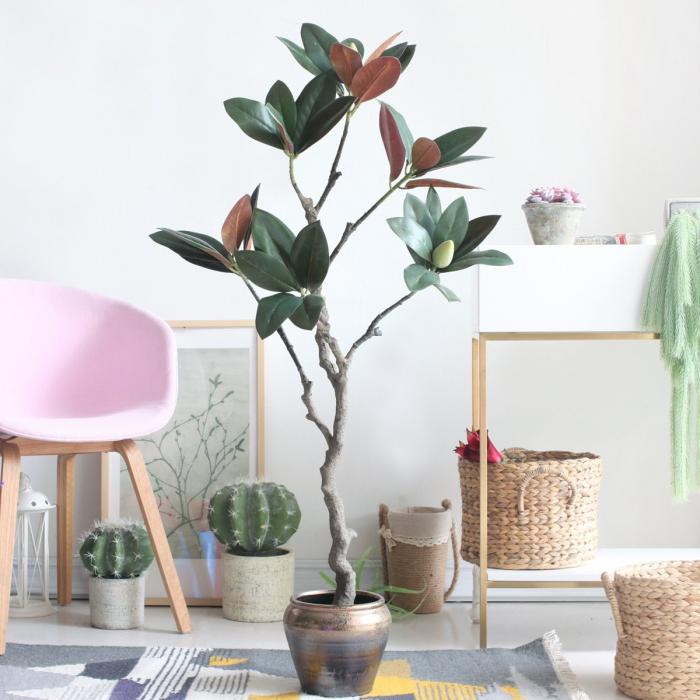 Cây đa đỏ có ý nghĩa gì trong phong thủy?