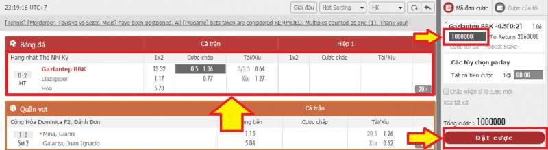 cá độ bóng đá vwin