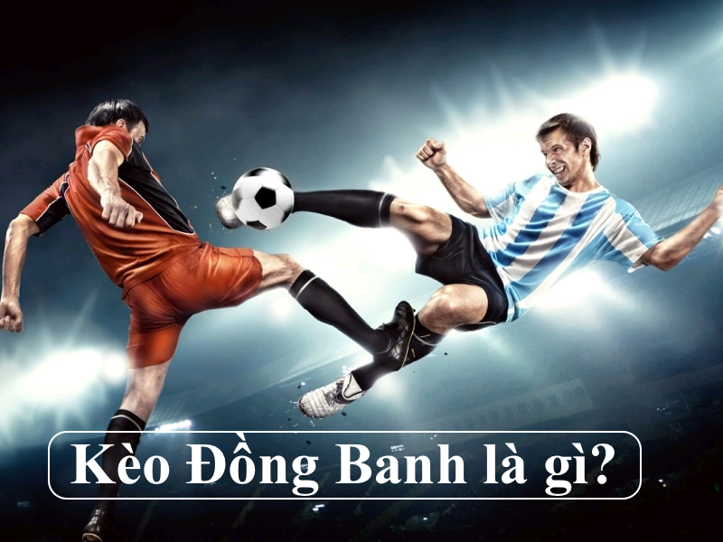 Cược bóng là gì?