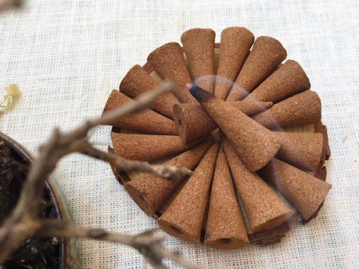 quế là gì? Nhang quế có lợi ích gì cho người sử dụng?  1652788121