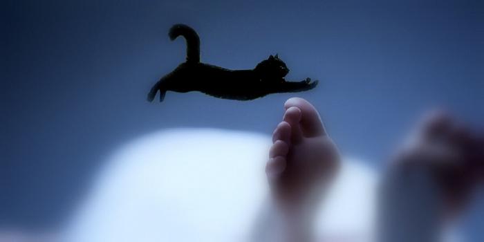 Những Điều Chủ Nhà Tang Lễ Cần Biết Để Bỏ Việc Sau