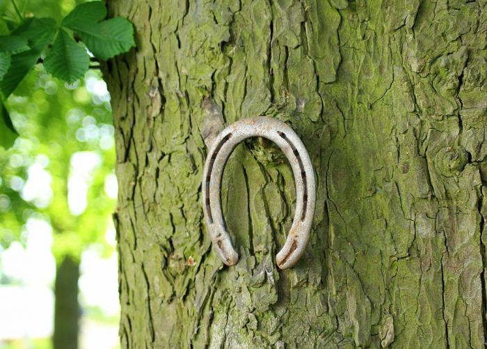 Tổng hợp bùa may mắn phổ biến hiện nay 2062842426