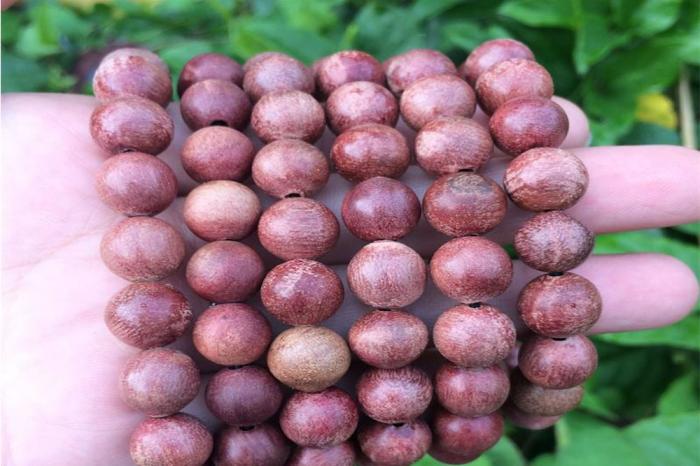 Tìm hiểu ý nghĩa của xá xị trong phong thủy