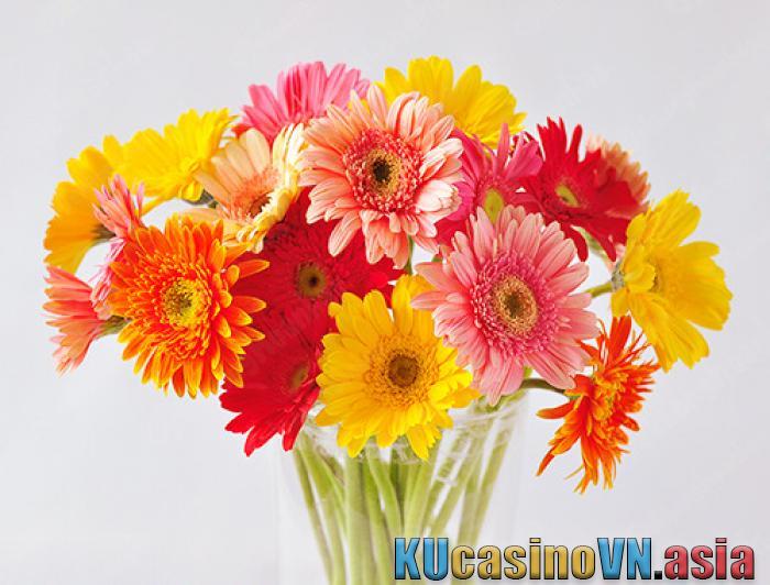 Cách cắm hoa đồng tiền